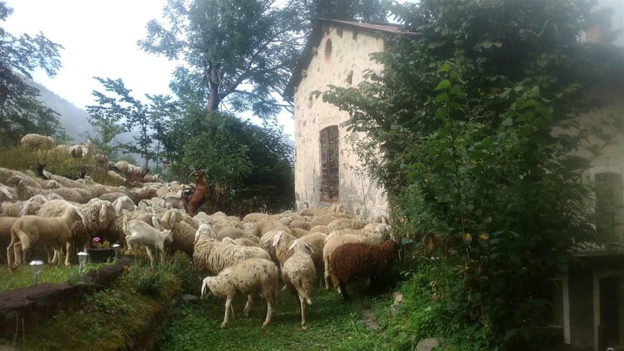 B&B L'Abric - Centro Storico Di Limonetto Limone Piemonte Extérieur photo
